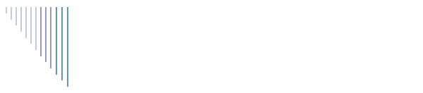 Investment Strategy